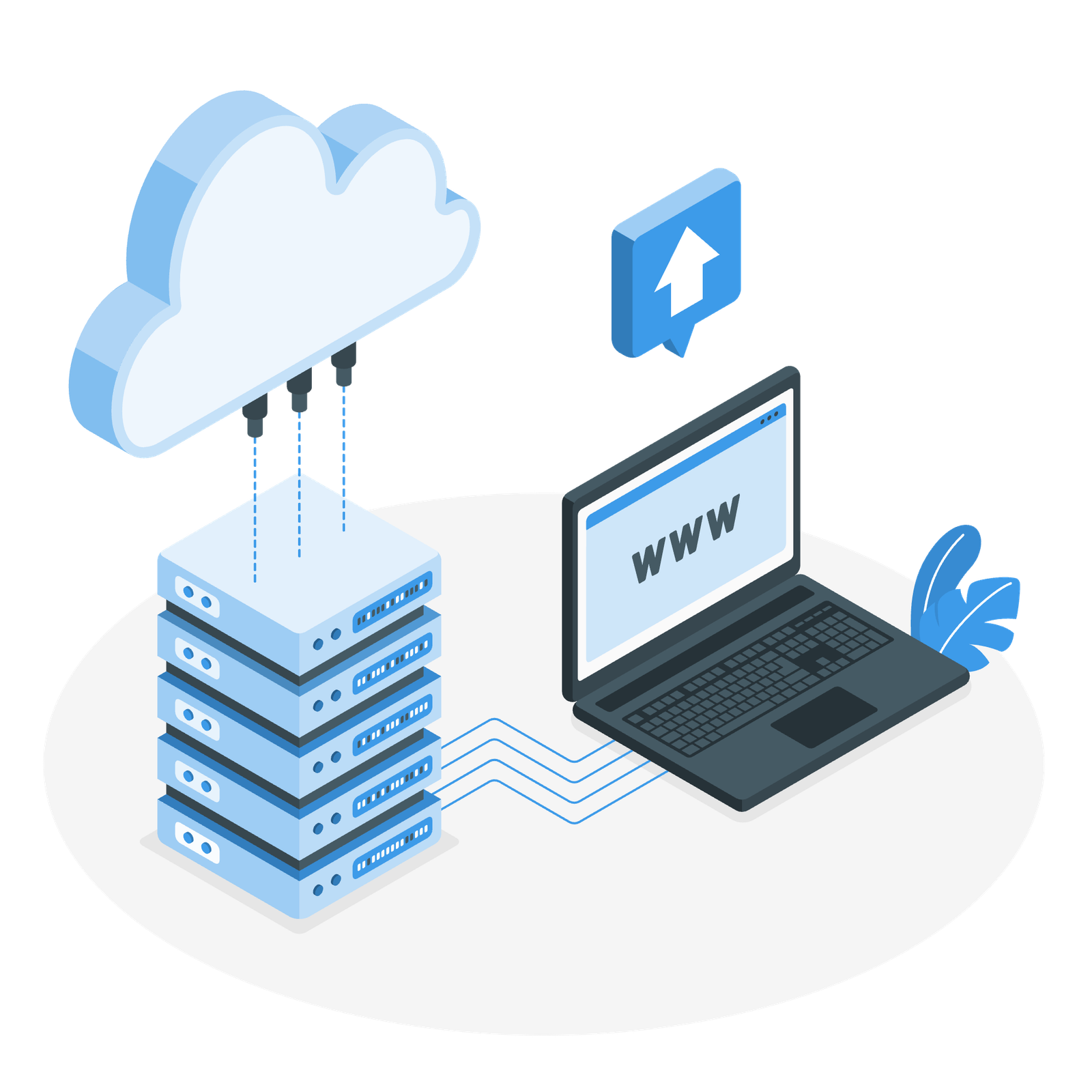 Managed website hosting with SSL and technical configuration in Cyprus