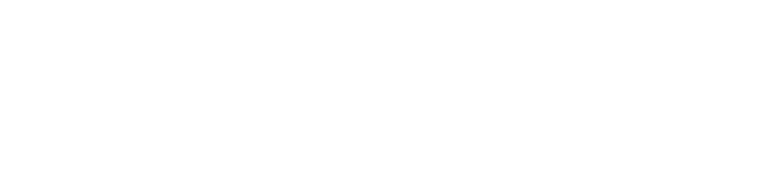 Lazaros V. Kesidis Law Firm